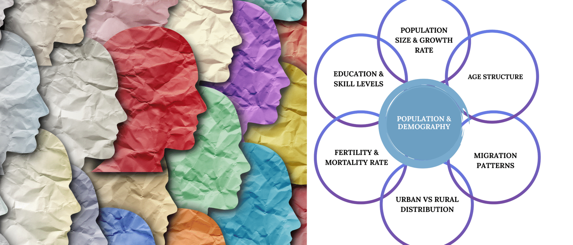 Population & Demography
